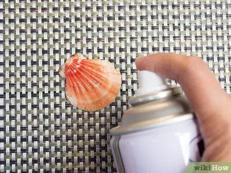 Image intitulée Clean and Polish Seashells Step 12