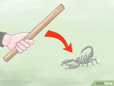 Image intitulée Kill a Scorpion Step 3
