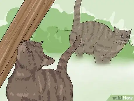 Image intitulée Retrain a Cat to Use the Litter Box Step 12