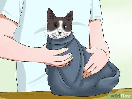 Image intitulée Use a Cat Comfort Bag Step 10