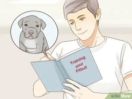 Image intitulée Take Care of a Pitbull Puppy Step 1