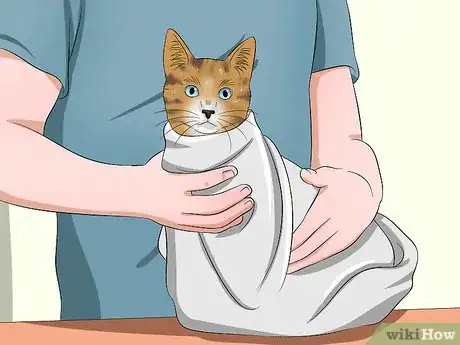 Image intitulée Give a Cat Medicine Step 10