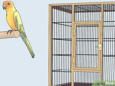 Image intitulée Gain Your Bird's Trust Step 4