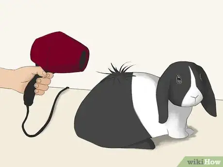 Image intitulée Bathe Your Pet Rabbit Step 8