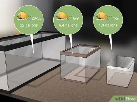 Image intitulée Care for Mystery Snails Step 1
