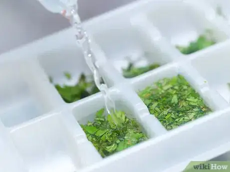 Image intitulée Freeze Herbs Step 14