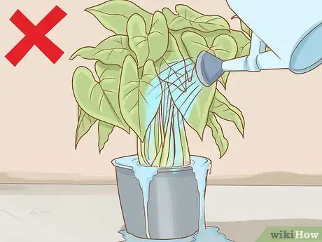 Image intitulée Get Rid of Powdery Mildew on Plants Step 16