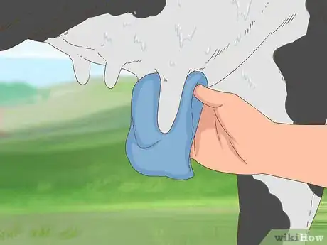Image intitulée Milk a Cow Step 4