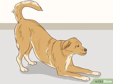 Image intitulée Communicate With Your Dog Step 4