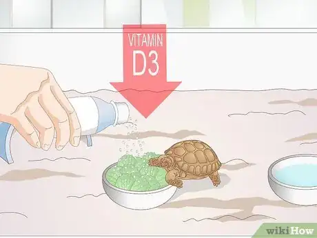 Image intitulée Take Care of a Baby Tortoise Step 9
