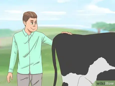 Image intitulée Milk a Cow Step 2