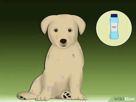 Image intitulée Treat Allergic Dermatitis in Dogs Step 7Bullet2