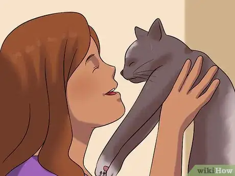 Image intitulée Stop a Cat from Chewing on Your Hair Step 6