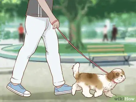 Image intitulée Care for a Shih Tzu Puppy Step 11