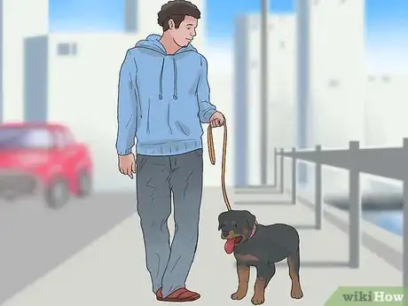 Image intitulée Care for a Rottweiler Puppy Step 12