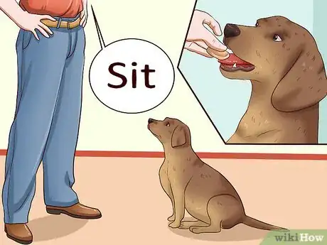 Image intitulée Prevent Dog Bites Step 11