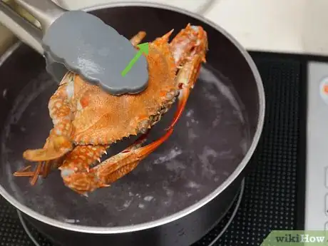 Image intitulée Cook a Crab Step 12