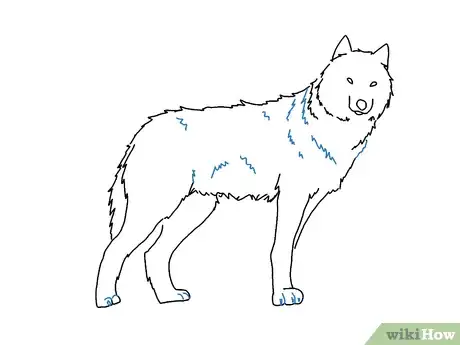 Image intitulée Draw a Wolf Step 7