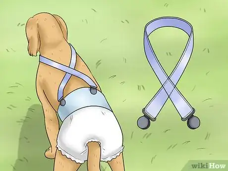Image intitulée Keep Diapers on a Dog Step 2