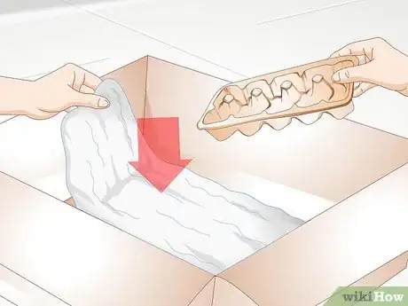 Image intitulée Use an Incubator to Hatch Eggs Step 23