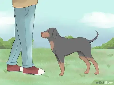 Image intitulée Make a Dog Love You Step 11