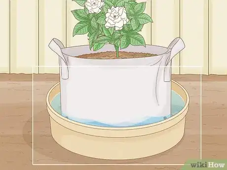 Image intitulée Use Growing Bags for Plants Step 11