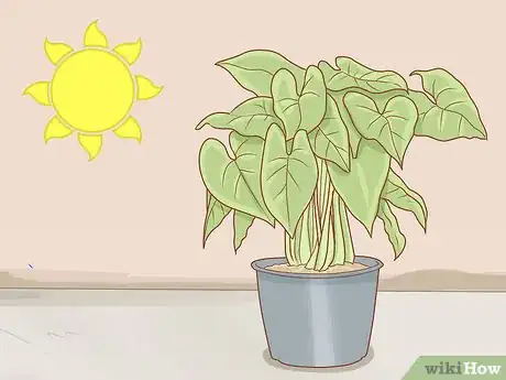 Image intitulée Get Rid of Powdery Mildew on Plants Step 14