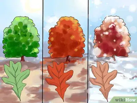 Image intitulée Identify Oak Trees Step 5
