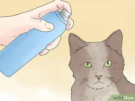 Image intitulée Care for an FIV Infected Cat Step 12