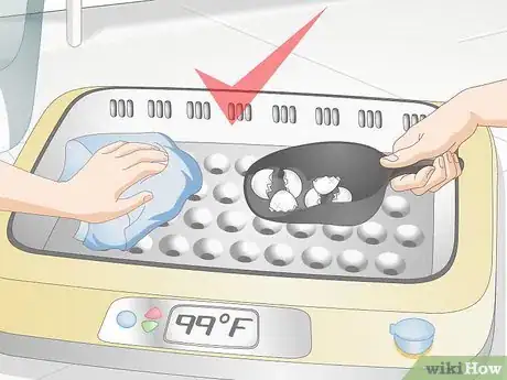 Image intitulée Use an Incubator to Hatch Eggs Step 27