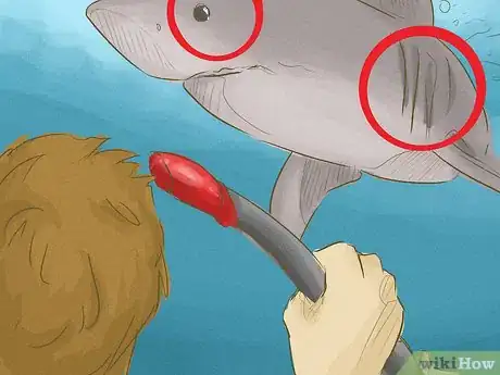 Image intitulée Avoid Sharks Step 13