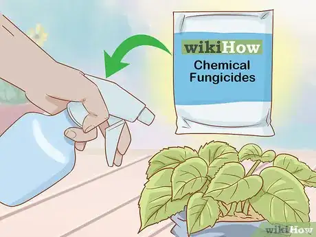 Image intitulée Get Rid of Powdery Mildew on Plants Step 11