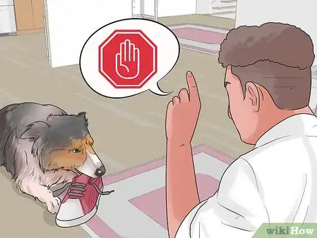 Image intitulée Discipline Your Dog Step 5