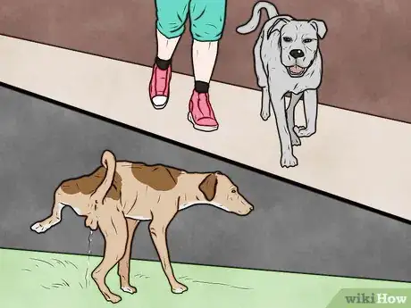 Image intitulée Punish a Dog Step 10