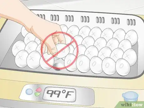 Image intitulée Use an Incubator to Hatch Eggs Step 22