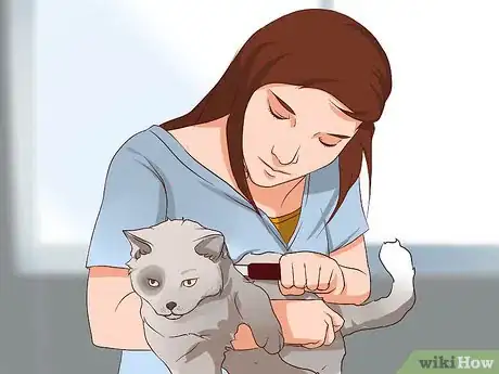 Image intitulée Prevent Cat Allergies Step 13