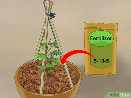 Image intitulée Grow Cucumbers in Pots Step 19