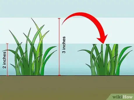 Image intitulée Mow a Lawn Step 4