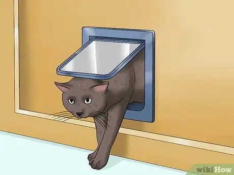 Image intitulée Get a Cat to Stop Meowing Step 10