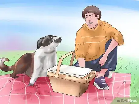 Image intitulée Bond With Your Dog Step 2