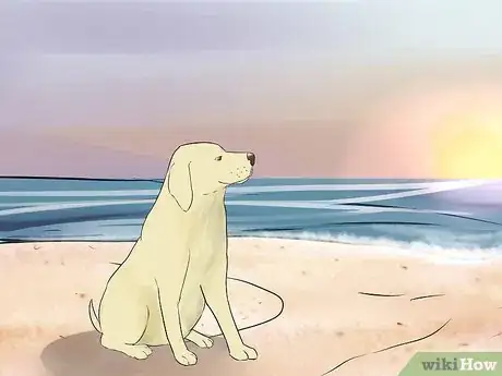 Image intitulée Make a Dog Love You Step 12