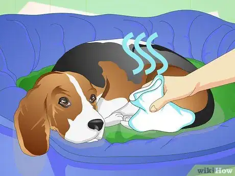 Image intitulée Treat a Sprained Ankle on a Dog Step 7