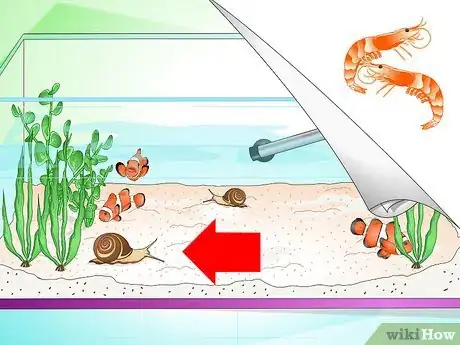 Image intitulée Tell if Your Fish Is Sick Step 25