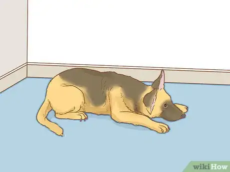 Image intitulée Treat Heat Stroke in Dogs Step 14