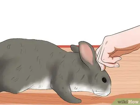 Image intitulée Care for a House Rabbit Step 26