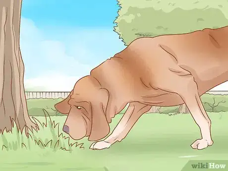 Image intitulée Take Care of a Dog Step 17