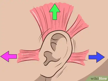 Image intitulée Wiggle Your Ears Step 8