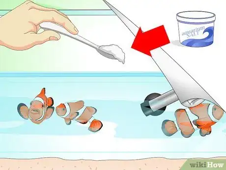 Image intitulée Tell if Your Fish Is Sick Step 17