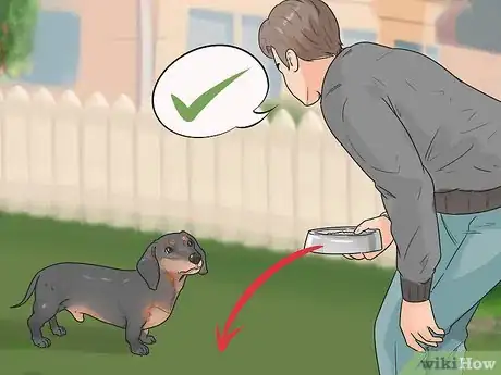 Image intitulée Discipline Your Dog Step 4