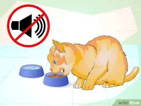 Image intitulée Properly Deal With an Aggressive Cat Step 12